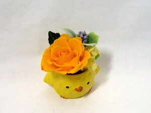 vU[uht[ a v[g Ђ悱 N  ͂Ȃ   Mtg ~jTCY AWg a v[g LO j Əj j   