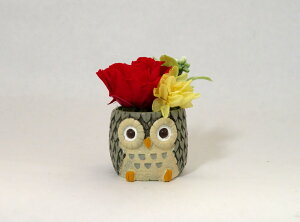 ӂ낤 tNE vU[uht[ a v[g N   Mtg ~jTCY AWg ͂Ȃ v[g єN a LO v[g j җ 