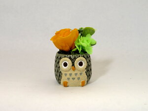 ӂ낤 tNE vU[uht[ a v[g N   Mtg ~jTCY AWg ͂Ȃ v[g єN a LO v[g j җ 