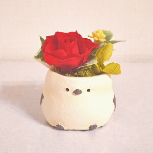 V}GiK vU[uht[ AW ͂Ȃ  o  Mtg ~jTCY AWg ͂Ȃ av[g LO єN܂ 蕨   V}G