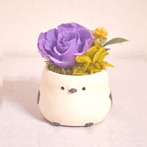 V}GiK vU[uht[ AW ͂Ȃ  o  Mtg ~jTCY AWg ͂Ȃ av[g LO єN܂ 蕨   V}G