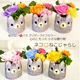 猫 ねこ ネコ 招き猫 灰色ネコ プリザーブドフラワー 誕生日 プレゼント 枯れない 花 ギフト ミニサイズ アレンジメント 誕生日 結婚記念日 開店祝 周年祝 お店 お祝い お見舞 枯れない花 お供え ペット供養