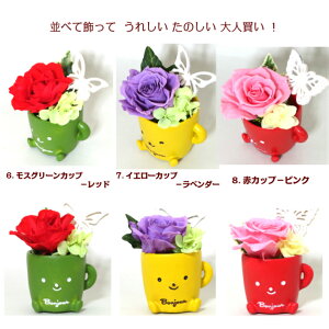 قƈꑧminiTCY }OJbv ͂Ȃ  o vU[uht[ AW av[g a v[g  LO j  җ Ď    y 搶 