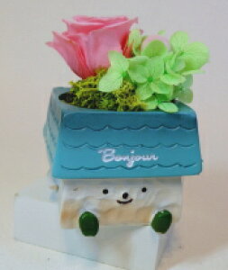 ~jnEX HOUSE vU[uht[ av[g  ~j  Mtg AWg t[ ͂Ȃ v[g a v[g  LO zj Vzj 