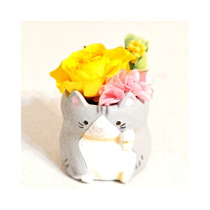 L lR ˂ L DlR AJV[gwA[ O[ vU[uht[ a v[g  AWg ͂Ȃ v[g a LO v[g 