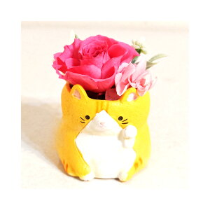 L lR AV gL L vU[uht[ a v[g AJV[gwA[   AWg ͂Ȃ v[g o a LO v[g 