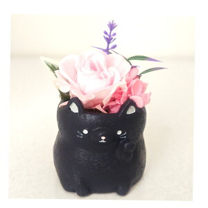 L NlR ˂ lR L vU[uht[ a v[g   Mtg ~jTCY AWg ͂Ȃ o av[g LO v[g JXj X