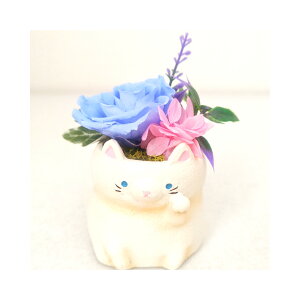 L lR ˂ lR L vU[uht[ a v[g   ~jTCY AWg ͂Ȃ v[g o a LO v[g JXj Nj X