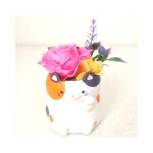 L OєL ˂ lR L vU[uht[ a v[g   Mtg ~jTCY AWg ͂Ȃ v[g a LO v[g JXj Nj 