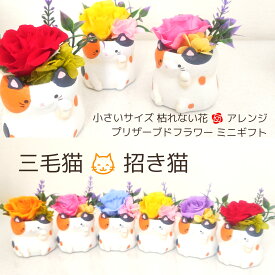 猫 三毛猫 ねこ ネコ 招き猫 プリザーブドフラワー 枯れない花 小さい 花 ギフト ミニサイズ アレンジメント 誕生日プレゼント 誕生日 結婚記念日 開店祝 周年祝 お店 お祝い お見舞 お供え 猫 ペット供養 父の日ギフト