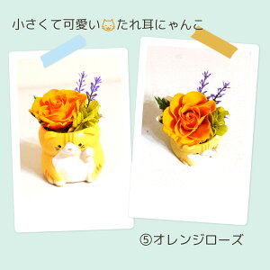 L ˂ lR L gL XReBbVtH[h vU[uht[   AWg ͂Ȃ v[g av[g a LO v[g Nj 