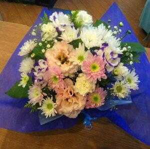    AW  䋟  ybg{ @v @  ŉ d V  Q ފ ~ ~ V~ ybg  ybg{ ybgSȂ 蕨