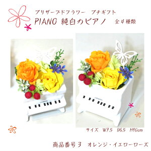 sAm@PIANO ͂Ȃ  o vU[uht[ AW a v[g  LO  ot \ җj Ď  j   ސEj