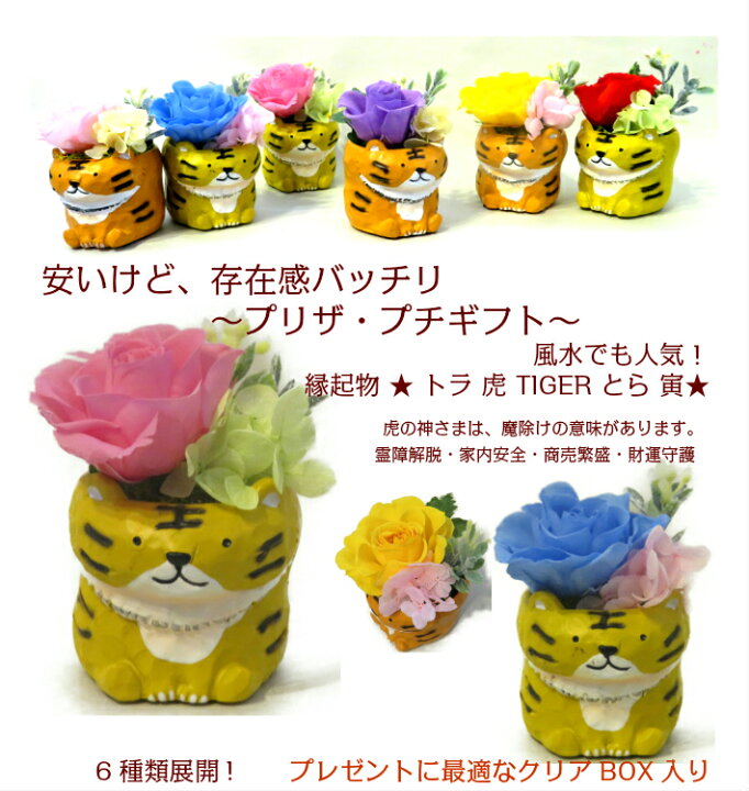 楽天市場 縁起物 トラ とら 寅 虎 枯れない花 本物のバラをあしらった プリザーブドフラワー アレンジメント 22年 寅年 干支 誕生日 プレゼント 花 記念日 還暦 米寿 喜寿 お祝い 卒業 卒園 先生 先輩 プレゼント タイガースが大好きな方にも 花アトリエ