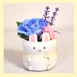 ETM  eN vU[uht[ AW a v[g    Mtg ~jTCY AWg ͂Ȃ v[g o av[g LO v[