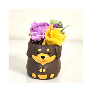 _bNX _bNXtg  DOG Ck vU[uht[ a v[g    Mtg ~jTCY AWg ͂Ȃ v[g o av[g LO 