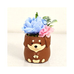 _bNX _bNXtg  DOG Ck vU[uht[ a v[g    Mtg ~jTCY AWg ͂Ȃ v[g o av[g LO 