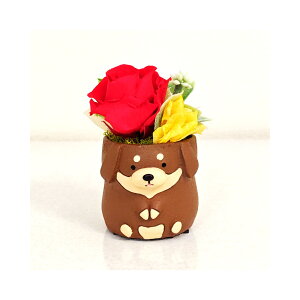 _bNX _bNXtg  DOG Ck vU[uht[ a v[g    Mtg ~jTCY AWg ͂Ȃ v[g o av[g LO 