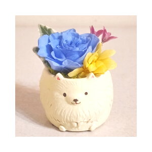 |jA  DOG Ck vU[uht[ a v[g    AWg ͂Ȃ v[g o av[g LO j  ybg  y