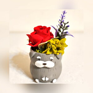 ViEU[  vU[uht[ a v[g   Mtg ~jTCY AWg ͂Ȃ v[g o a LO j Mtg   搶 