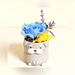 ViEU[  vU[uht[ a v[g   Mtg ~jTCY AWg ͂Ȃ v[g o a LO j Mtg   搶 