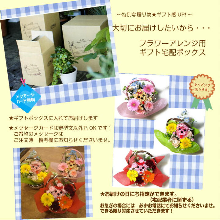 楽天市場 生花 プードル 犬 アレンジ 誕生日 プレゼント 花 カーネーション 花 ガーベラ 還暦 米寿 喜寿 義母 義父 退職祝 出産祝 発表会 お見舞い お供え ペット供養 花アトリエ サムシングブルー