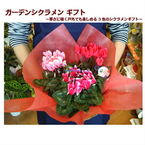 K[f VN 3MtgZbg K[fjO a v[g NX}X Ε  LO җ Ď   ⍥ ސE  j zj o^C zCgf