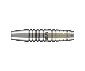 【メール便OK】【送料無料】ダーツ バレル【アストラダーツ】ティーアロー4 T-arrow 谷内太郎モデル