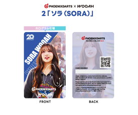 【メール便OK】【送料無料】ダーツ ゲームカード【フェニックス×WOOAH】ソラ