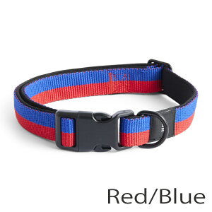 s40%OFFtHAY Dogs Collar Flat wC    ̎   킢 uh ^ ^ ^p ^  т y Č ` gCv[h p ybg