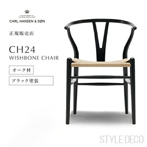 Y`FA I[N ubNh i`y[p[R[h SH45cm _CjO`FA kƋ ֎q J[nZT CH24 k_ rO NbV  CeA yK戵