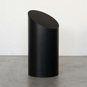 syVX[p[Z[tMOHEIMiwCjSWINGBINMubN/ubNS~TCYF210×H440mm / 8L Vv fUC VvS~