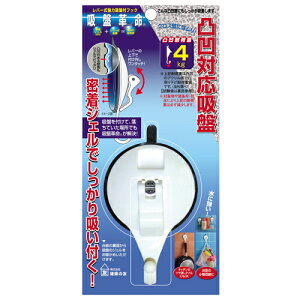 z̗F zՊv tbN  KBK-2 WF tbN KX ʖ Vt