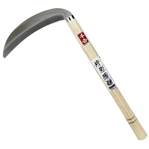 g XeXАn 195mm ϋvQ 芙  Kтɋ XeXn |pi |