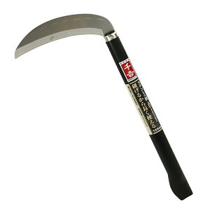 g 邩璷g銙 165mm 芙 Kтɋ XeXn n |pi | Y