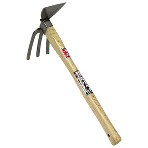 g XeXЎL CJ^ CJK^ ϋvQ yN @ n[hȍ ^ |pi