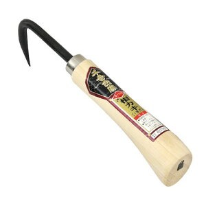 g JL 1|  ڐApyƂ ق 1{ n| |pi |