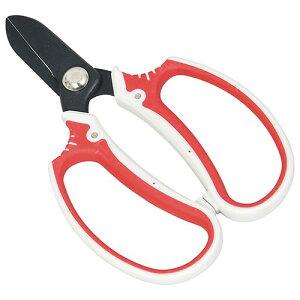 g fB[X SGP-31    tnh ՌztObv |pi