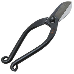 g rVV 165MM  ؂ꖡQ t[AWg  |tn |pi |