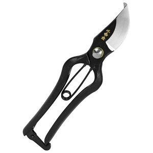 g  {b 200MM   } v  b