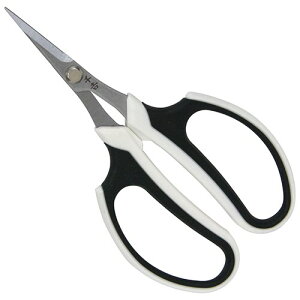 g K[fjO^n SSP-15 | Obv Kтɂ ȒP |pi | Y