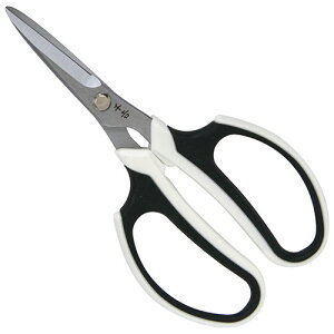 g K[fjO^n SSP-16 | Obv Kтɂ ȒP |pi | Y