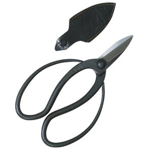 g v p 180MM A ~    p |pi |