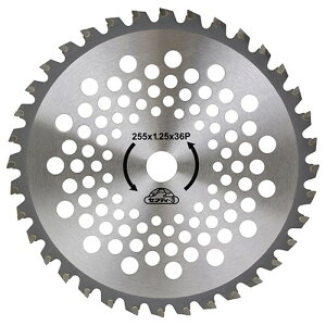 ZteB-3 `bv\[(^`bv 255mmx36P  nSʌ ؂ꖡQ | Ռɋ