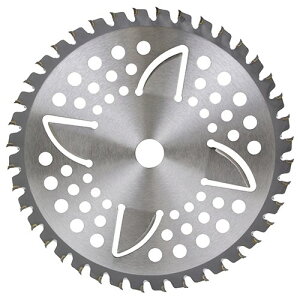 ZteB-3 `bv\[(tጸ) 255mmx40P  Rn``bv ؂ꖡQ |pi |