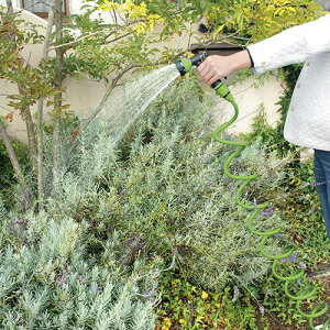 セフティ-3 コイルホース 7.5M SCH-7.5OL 巻き取り不要 水まき 散水 洗車 水やり 散水用品 オリーブ