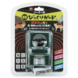 ZteB-3 \[[bтK[h SSTJ-1 XL[g[ XL[g   悯 b悯 g drsv [d hH ʂ   ˂ L  