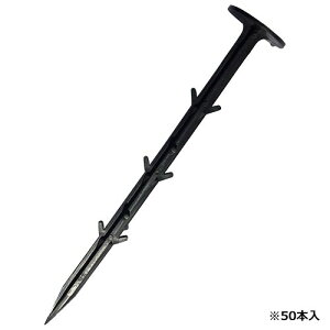 ZteB-3 V[g 50P 21cm hV[g }` rj[}` Œ vX`bN