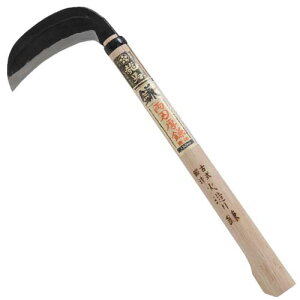 ~n n \ 150MM  J} 菬} G  |  