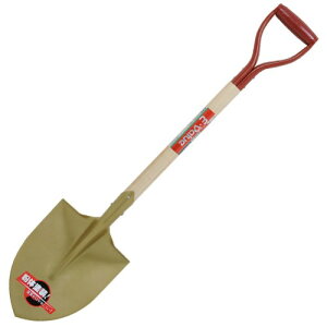 E-Value ؕۃVx EWS-1 Vx @ y ̓h